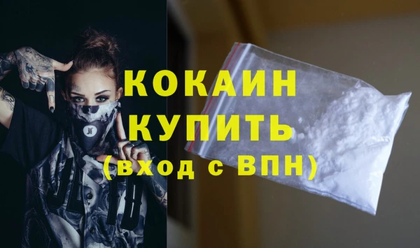 хмурый Аркадак