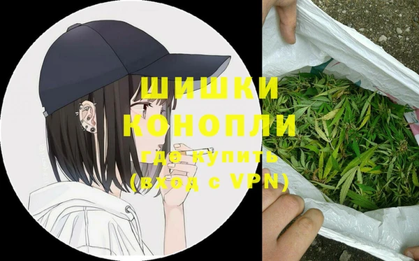 хмурый Аркадак