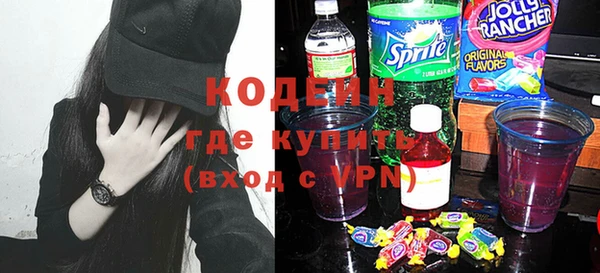 хмурый Аркадак
