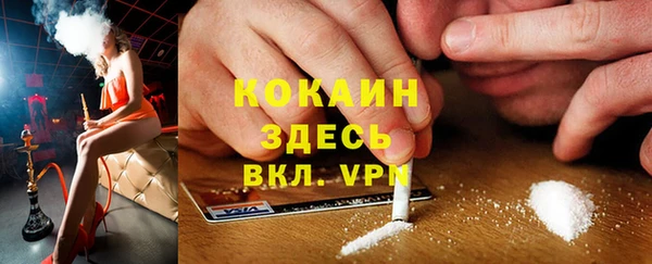 хмурый Аркадак