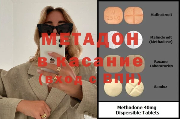 хмурый Аркадак