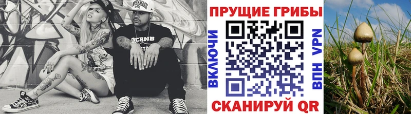 Псилоцибиновые грибы Psilocybe  Солнечногорск 